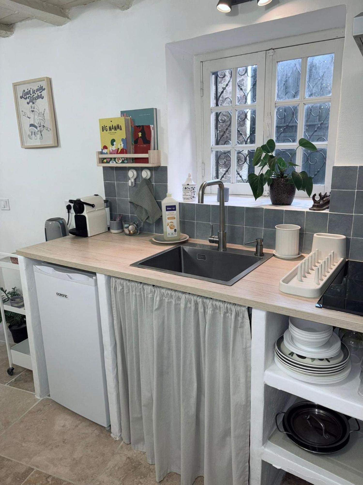 Duplex Au Pied Du Chateau Cagnes-sur-Mer Eksteriør bilde